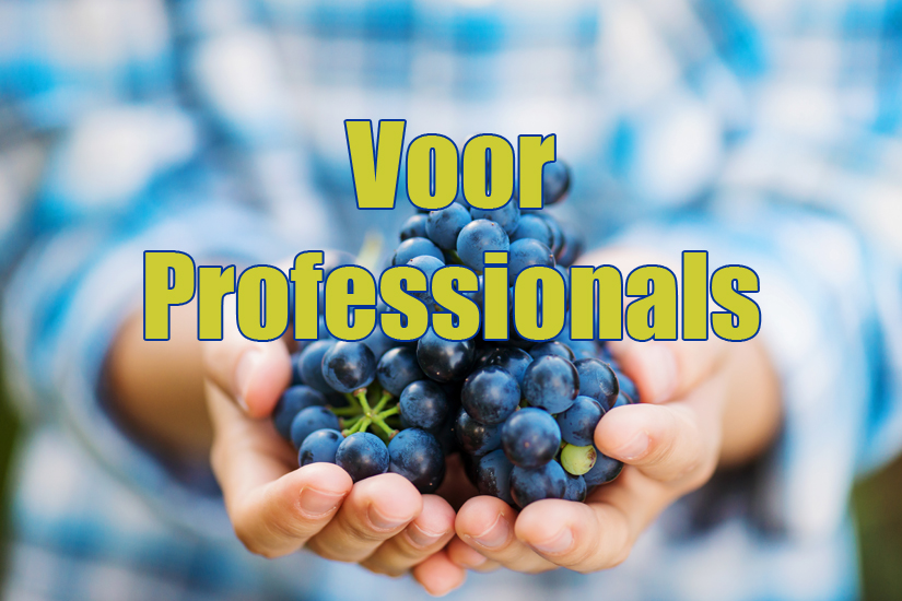 Voor professionals